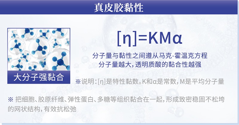 智美交锋,共话抗衰?|?j9九游会官网悦迎医美创新研究顾问会圆满落幕 智美交锋,共话抗衰?|?j9九游会官网悦迎医美创新研究顾问会圆满落幕