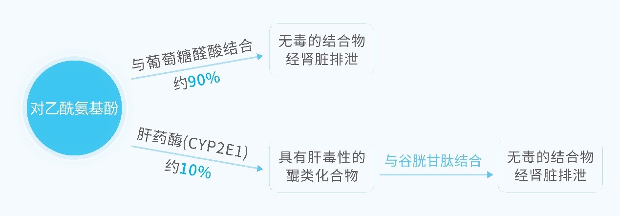 感冒药滥用:你的肝脏正在“无声报警”吗?——解密肝损伤背后的生命防线 “药”命!感冒药滥用,正在悄悄伤害你的肝脏 感冒药滥用:你的肝脏正在“无声报警”吗?——解密肝损伤背后的生命防线 “药”命!感冒药滥用,正在悄悄伤害你的肝脏